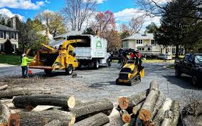 Best Utility Line Clearance  in Avon Lake, OH