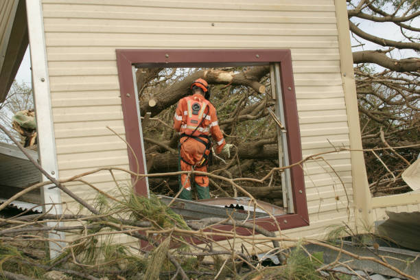 Best Tree Cabling and Bracing  in Avon Lake, OH
